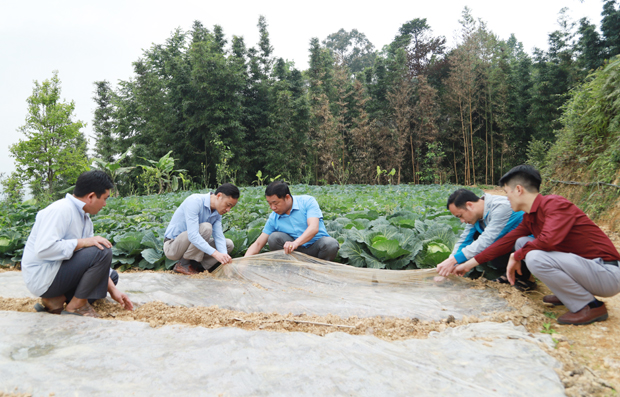 Toàn tỉnh đã có 228 hộ thực hiện cải tạo vườn tạp